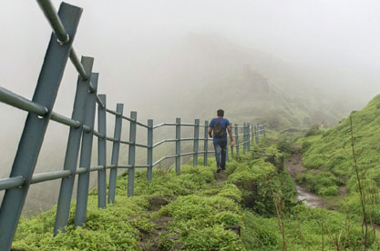 Sightseeing in Shillong and Transfer to Guwahati