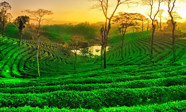 Guwahati Shillong Tour
