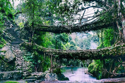 Sightseeing In Shillong